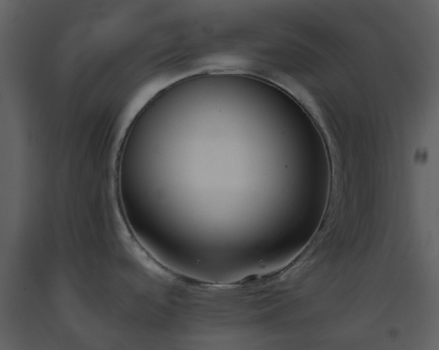 X0000093591488200710221513