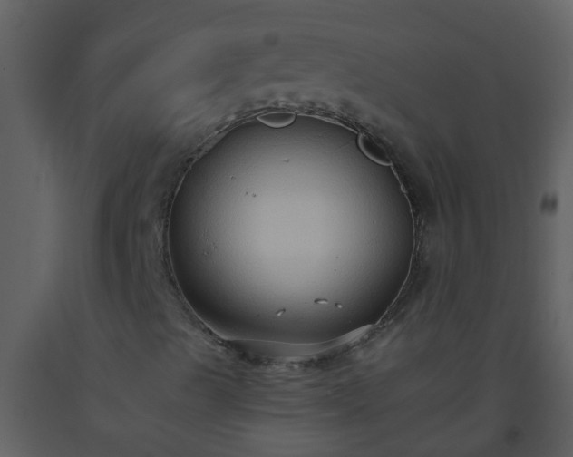 X0000093591489200710221512