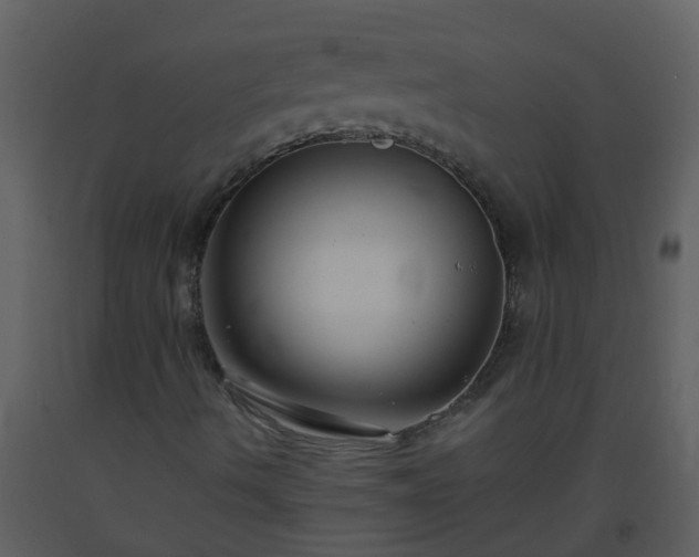X0000093591490200710221512
