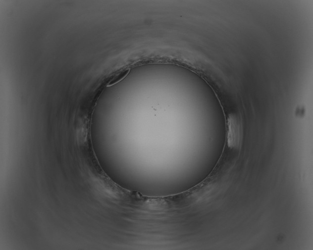 X0000093591491200710221512