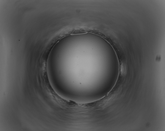 X0000093591492200710221512