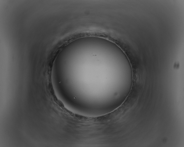 X0000093591493200710221512
