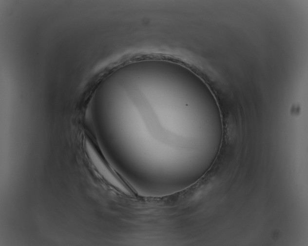 X0000093591494200710221512