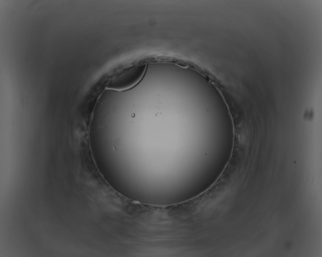 X0000093591495200710221512