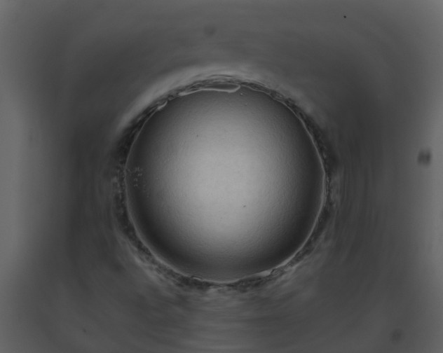 X0000093591496200710221513