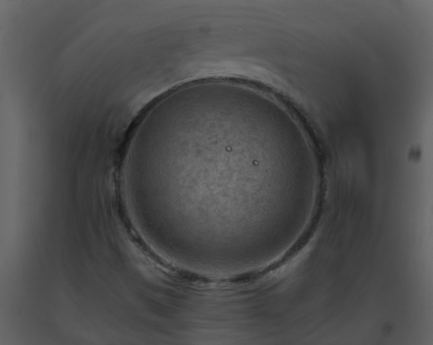 X0000093591497200710221513