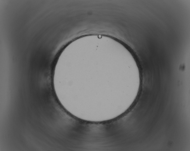 X0000093591498200710221513