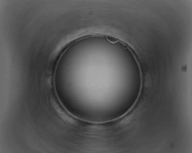 X0000093591499200710221513