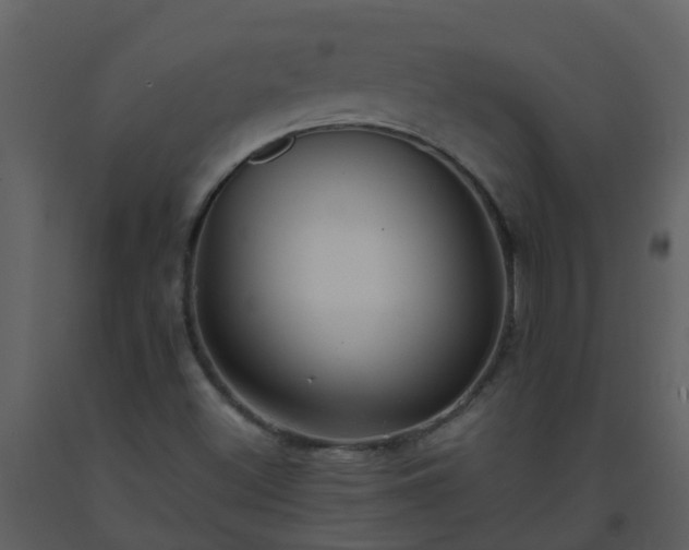 X0000093591500200710221513