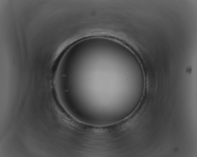 X0000093591501200710221513