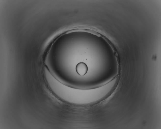 X0000093591502200710221513