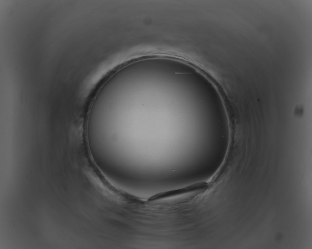 X0000093591503200710221513