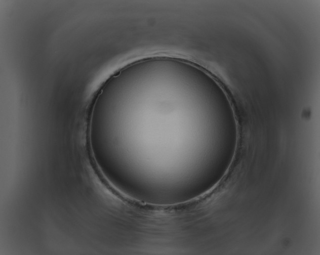 X0000093591504200710221513