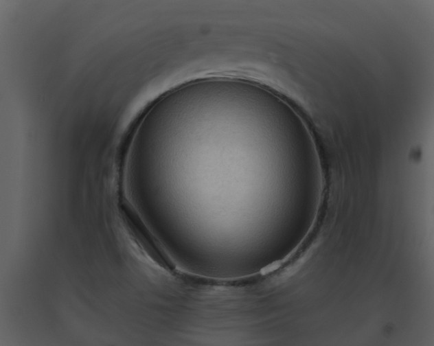 X0000093591506200710221513
