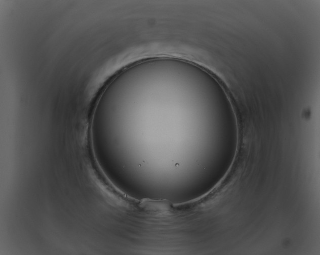 X0000093591507200710221513