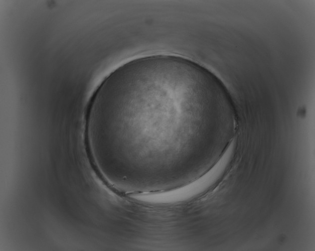 X0000093591508200710221513