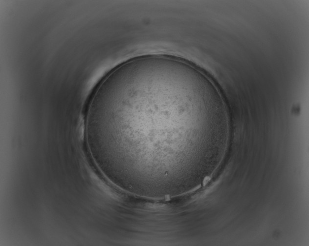 X0000093591509200710221513