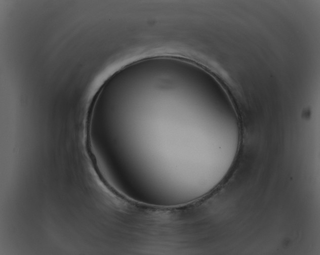 X0000093591512200710221513