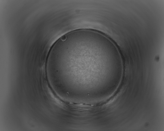 X0000093591513200710221513