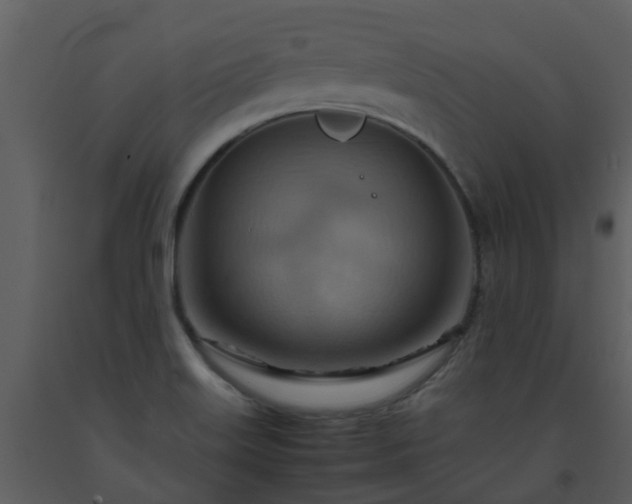 X0000093591515200710221513