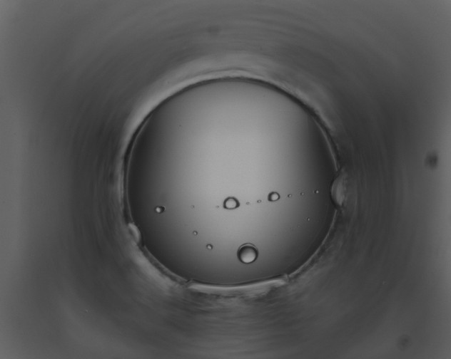 X0000093591516200710221513