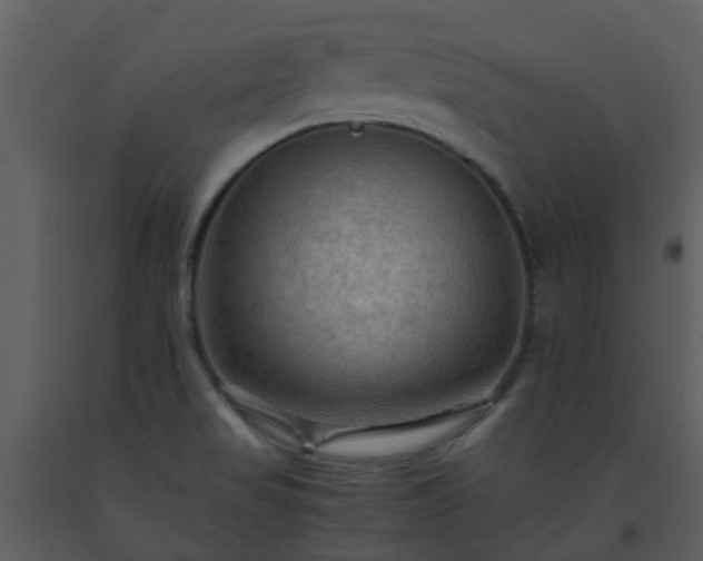 X0000093591517200710221513