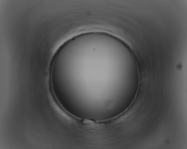 X0000093591518200710221513