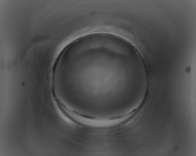 X0000093591519200710221513