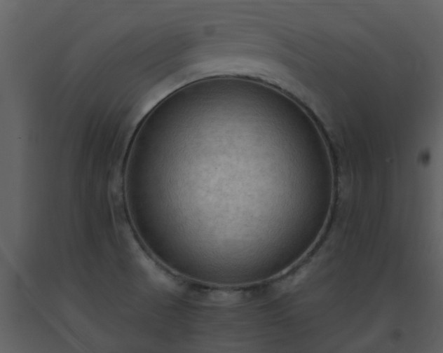 X0000093591521200710221513