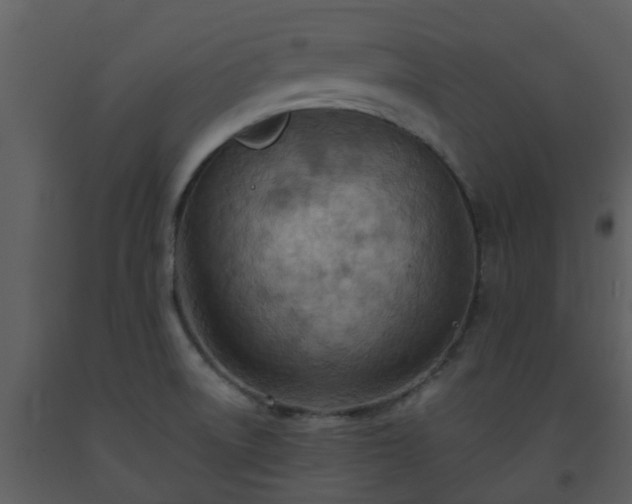 X0000093591522200710221513