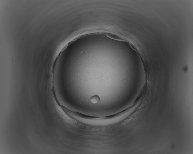 X0000093591524200710221513