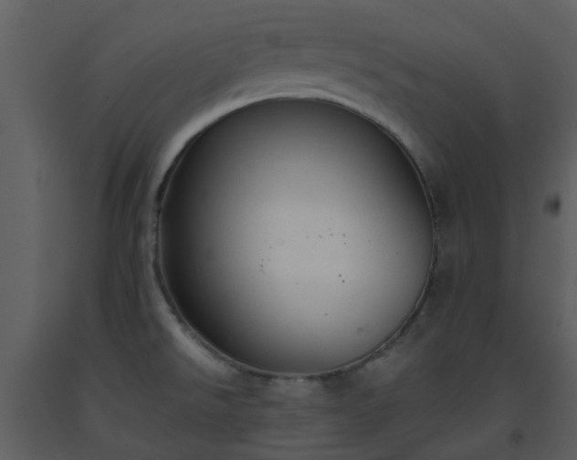X0000093591526200710221513