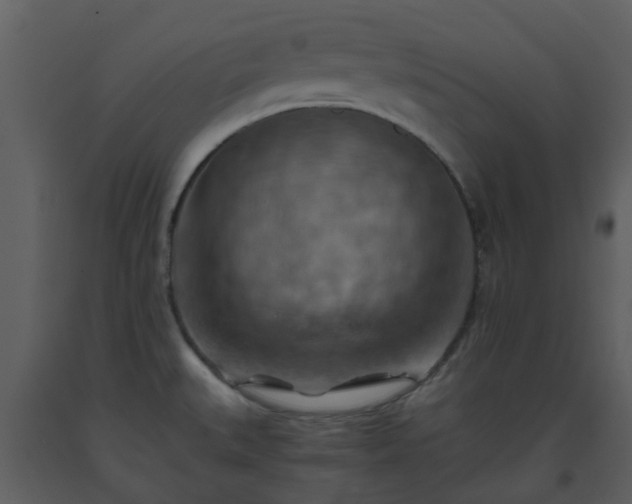 X0000093591527200710221513