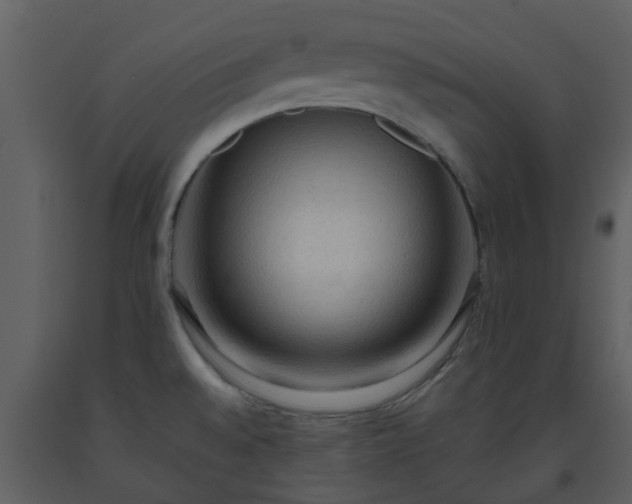 X0000093591528200710221513