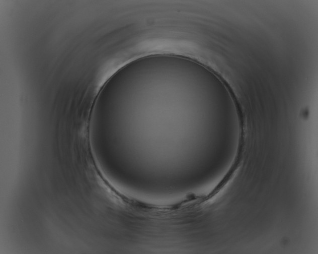 X0000093591529200710221513