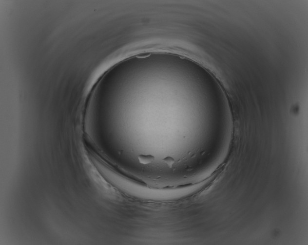 X0000093591530200710221513
