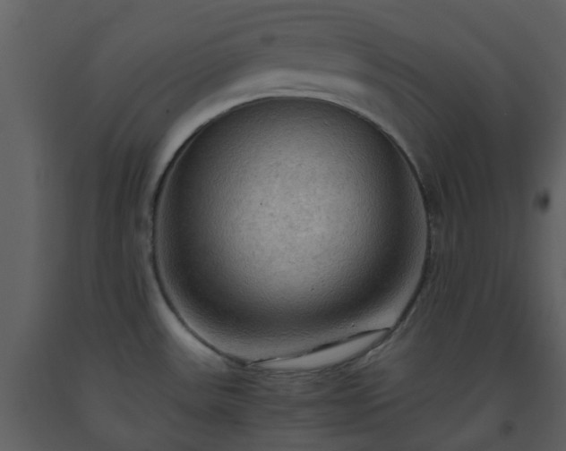 X0000093591531200710221513