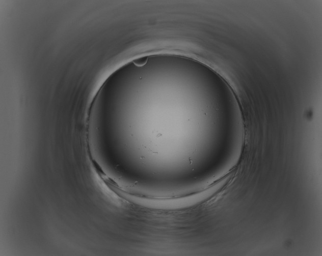 X0000093591532200710221513