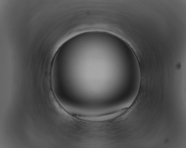 X0000093591534200710221513
