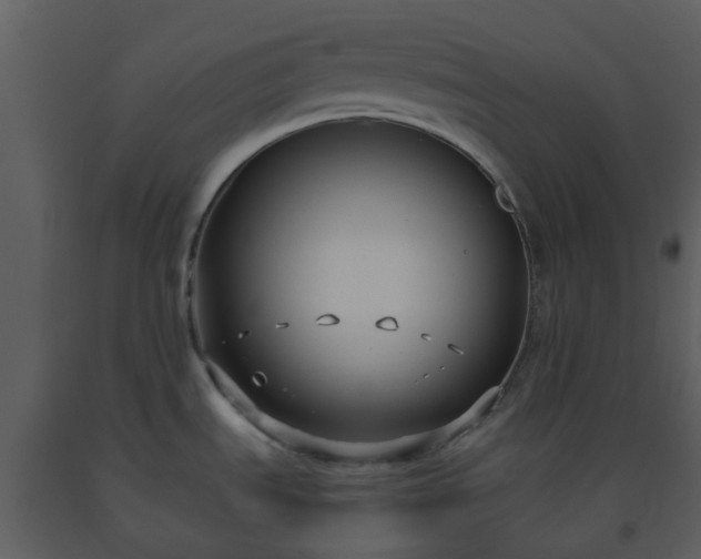 X0000093591535200710221513