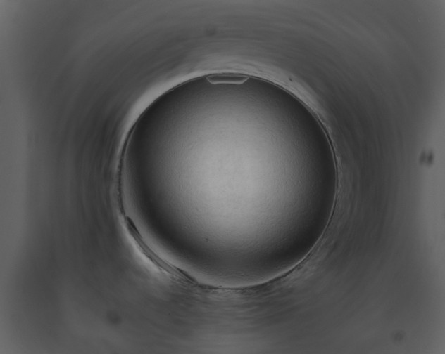 X0000093591536200710221513