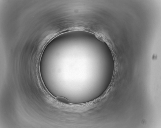 X0000093590001200710291132
