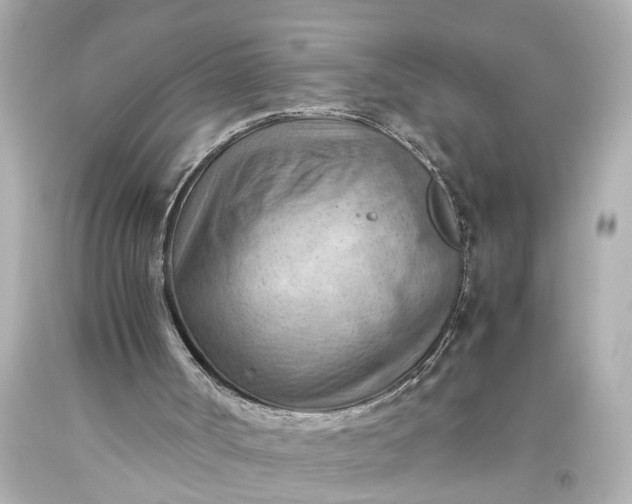 X0000093590002200710291132