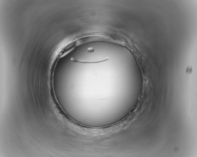 X0000093590006200710291132