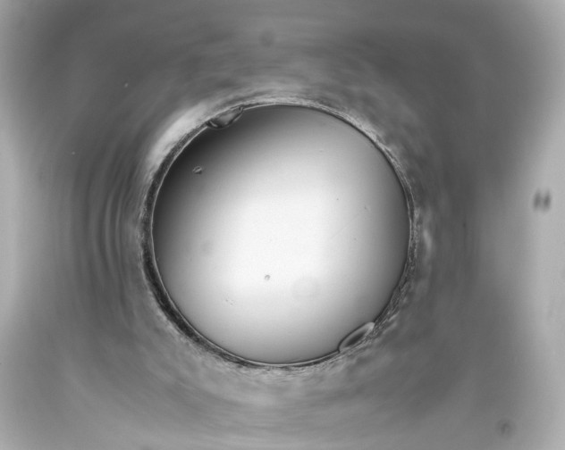 X0000093590007200710291132