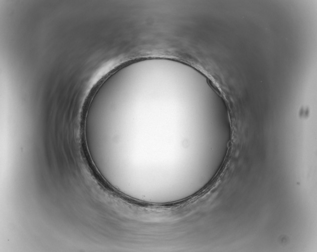 X0000093590008200710291132