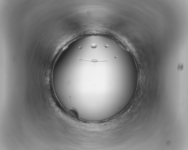 X0000093590010200710291132