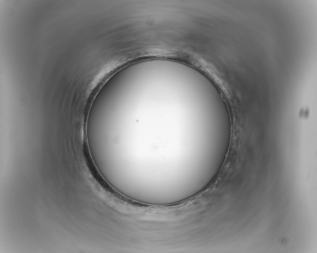 X0000093590011200710291132