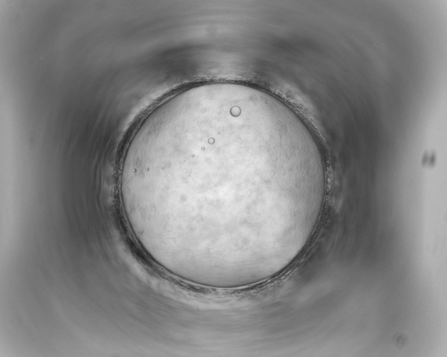 X0000093590012200710291132