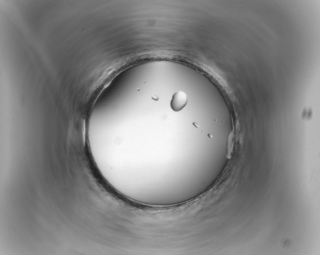 X0000093590013200710291132
